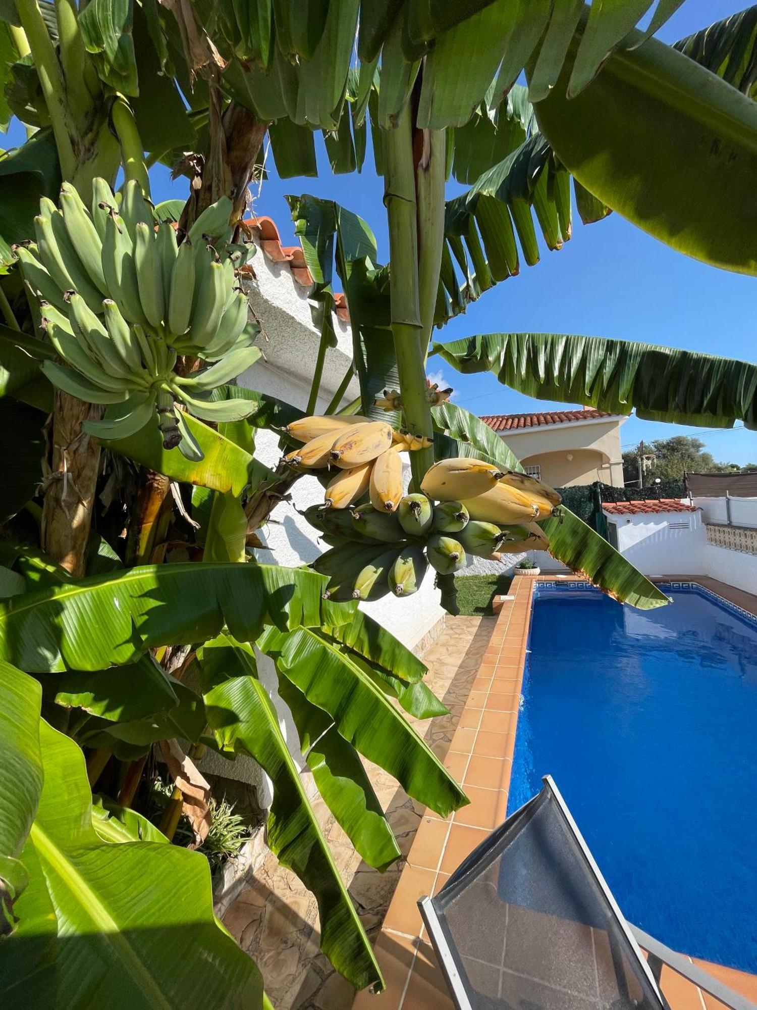 Villa Juani Vinarós Εξωτερικό φωτογραφία